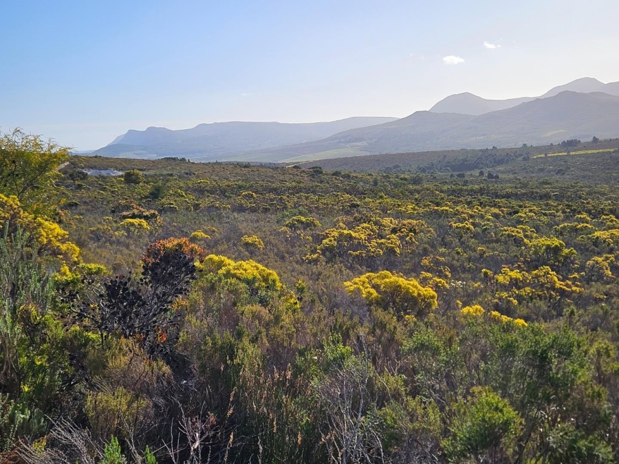 Commercial Property for Sale in Baardskeerdersbos Western Cape